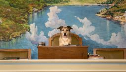 Imagem do filme: O PROCESSO DO CÃO: o réu de quatro patas