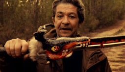 Imagem do filme: “O Velho e a Espada”: fantasia, comédia e tradições celebram o interior de Portugal