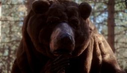 Imagem do filme: OSO