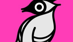 Imagem do filme: Porto/Post/Doc reflete sobre migrações com ciclo “No País dos Outros”
